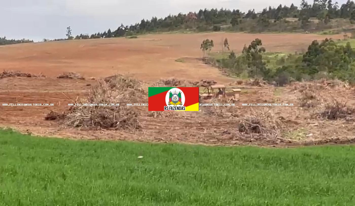 Fazenda para Venda em Arroio dos Ratos, RS