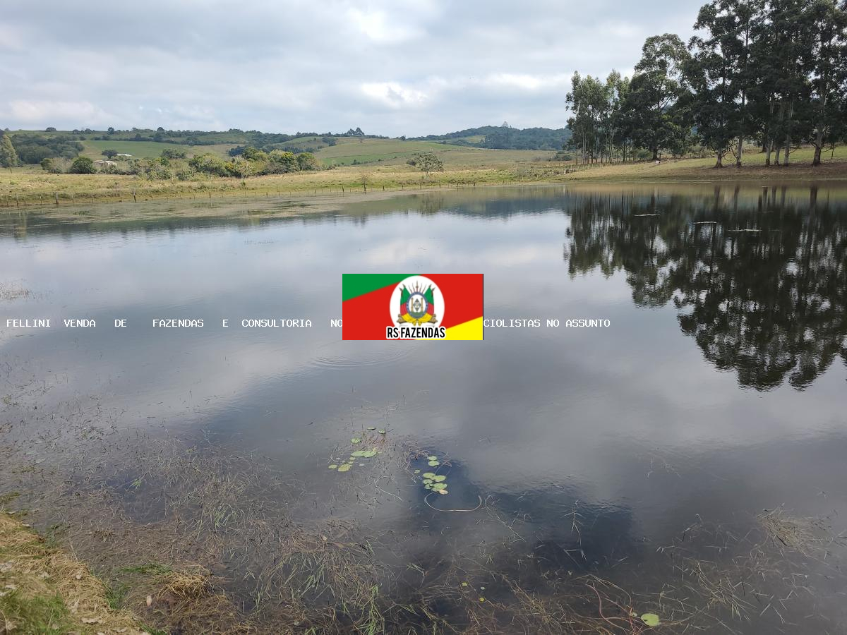 Fazenda para Venda em Barra do Ribeiro, RS