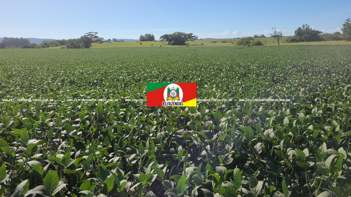 Fazenda para Venda em Cacequi, RS