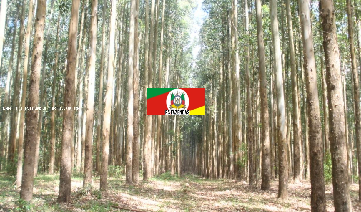 Fazenda para Venda em Encruzilhada do Sul, RS