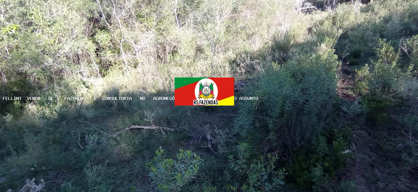 Fazenda para Venda em Encruzilhada do Sul, RS