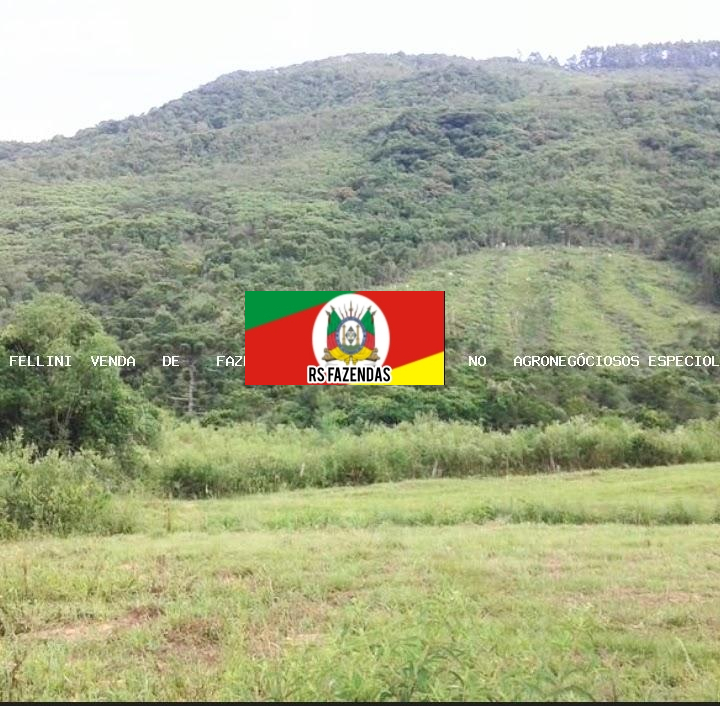 Fazenda para Venda em Mariana Pimentel, RS