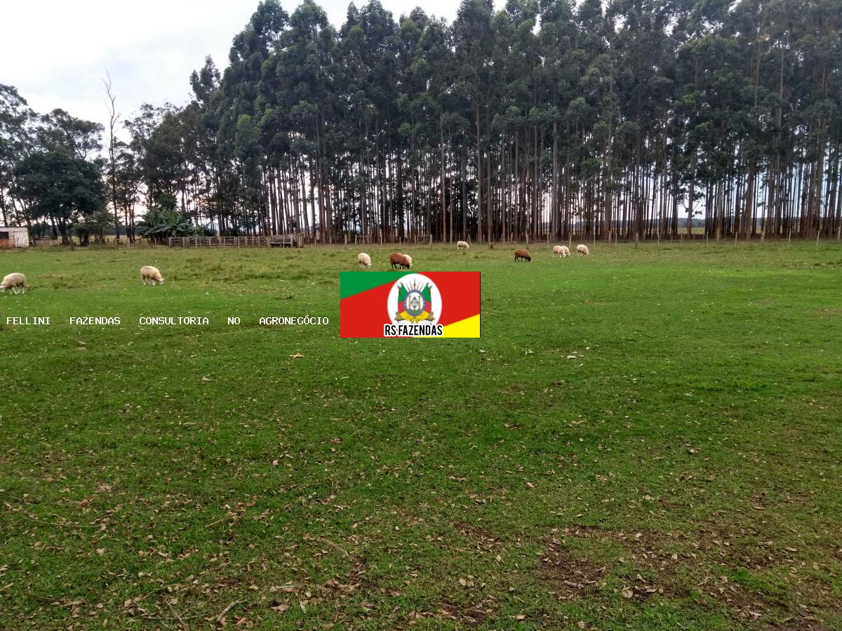 Fazenda para Venda em Osório, RS