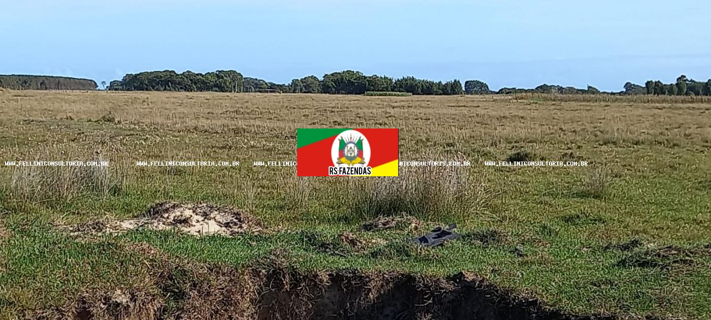 Fazenda para Venda em Palmares do Sul, RS
