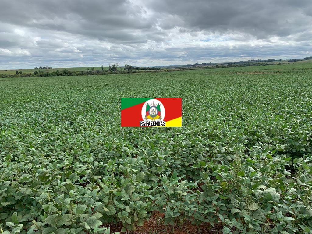 Fazenda para Venda em Rosário do Sul, RS