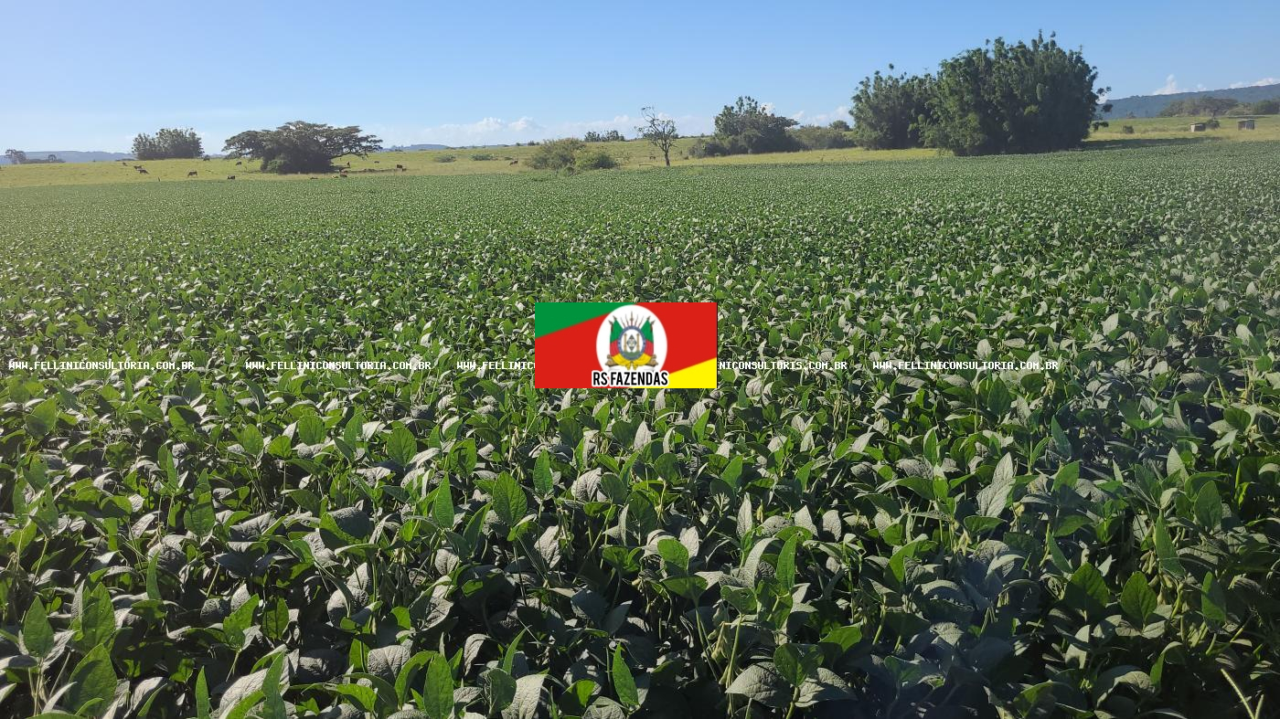 Fazenda para Venda em Santana do Livramento, RS