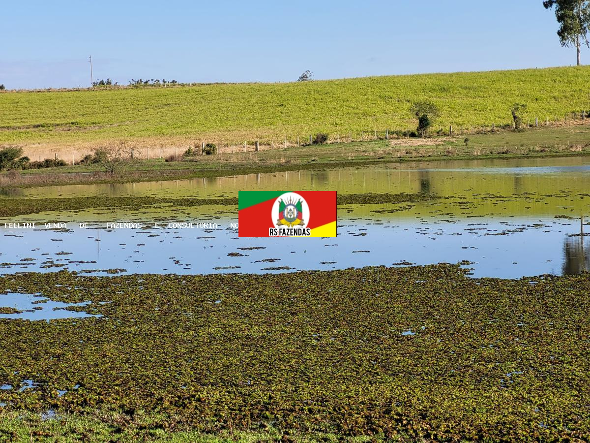 Fazenda para Venda em Sentinela do Sul, RS