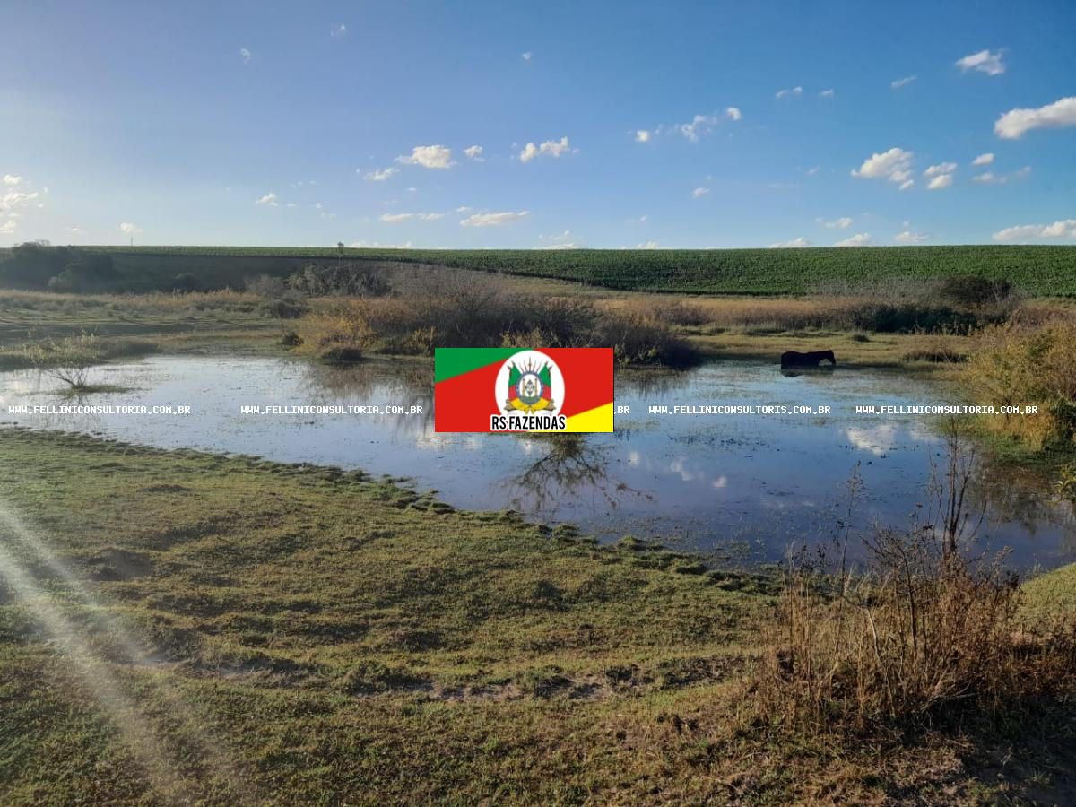 Fazenda para Venda em Sentinela do Sul, RS