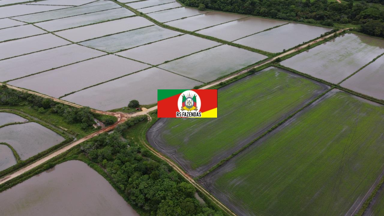Fazenda para Venda em Tapes, INTERIOR