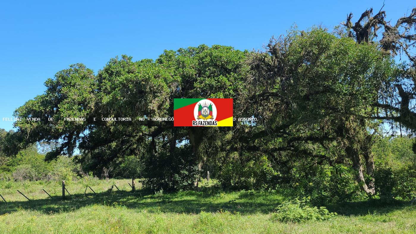 Oportunidade para Investidor para Venda em Porto Alegre, RS