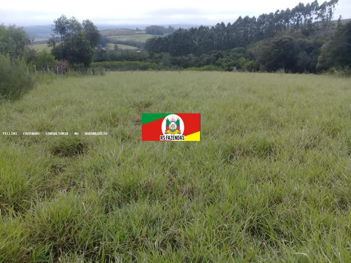 Sítio para Venda em Barra do Ribeiro, RS