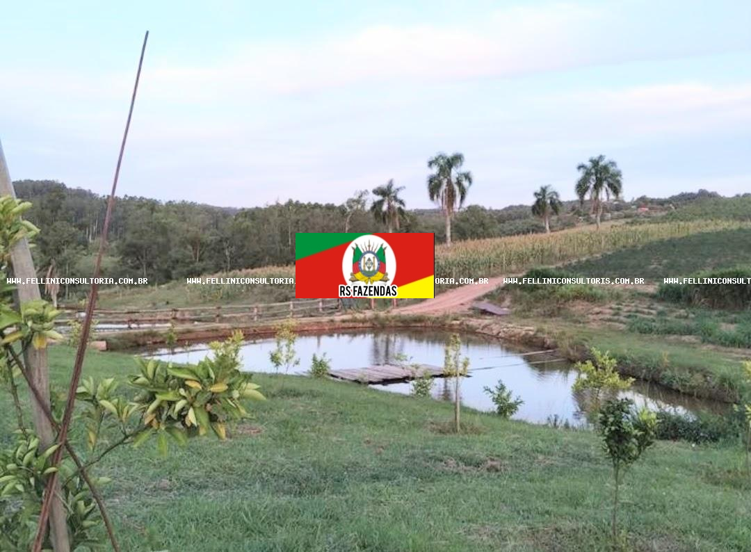 Sítio para Venda em Gravataí, RS