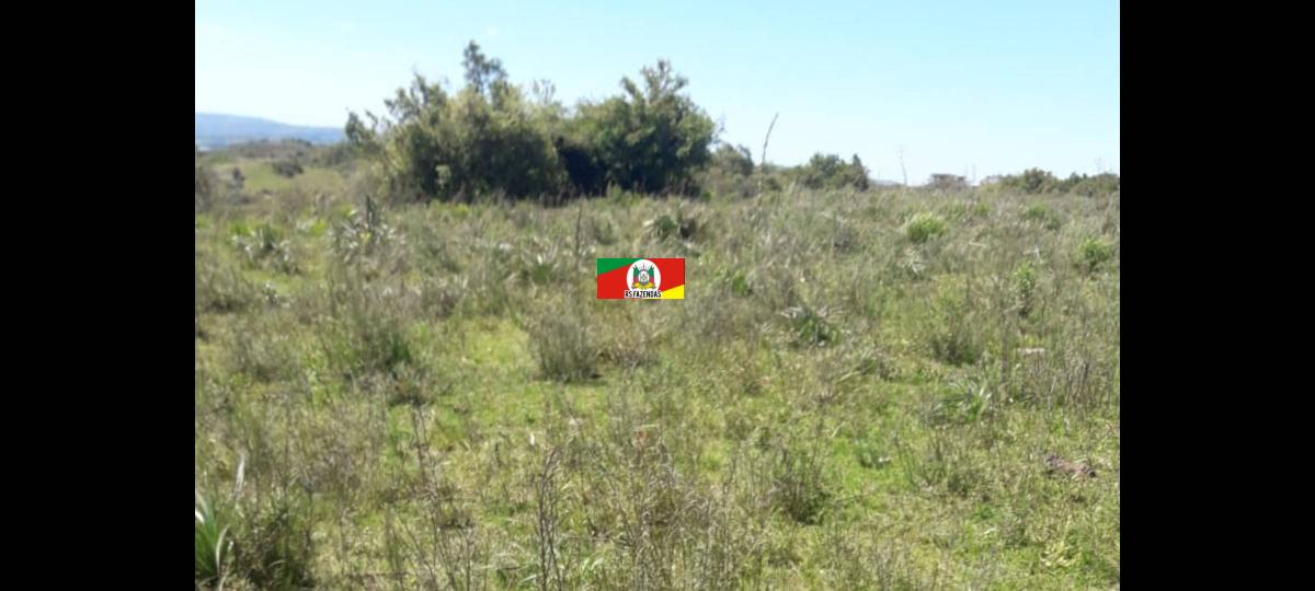 VENDO 208 HECTARES DE CAMPO ESPECÍFICO PARA PECUÁRIA NA REGIÃO DE SANTANA DA BOA VISTA RIO GRANDE DO SUL