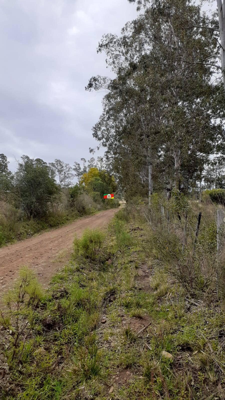 VENDO 24,8 HECTARES EM ALEGRETE RS COM PERFIL RURAL , COMERCIAL E INDUSTRIAL