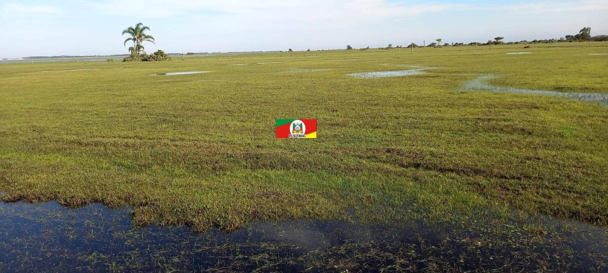 VENDO PROPRIEDADE RURAL COM 270 HECTARES DE BARBADA