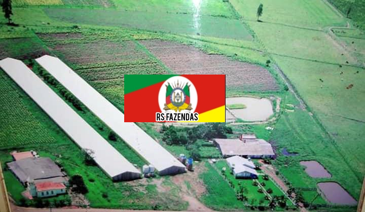 vendo um granja de aves de corte e tambo leiteiro